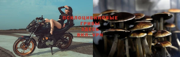 соль ск Приозерск