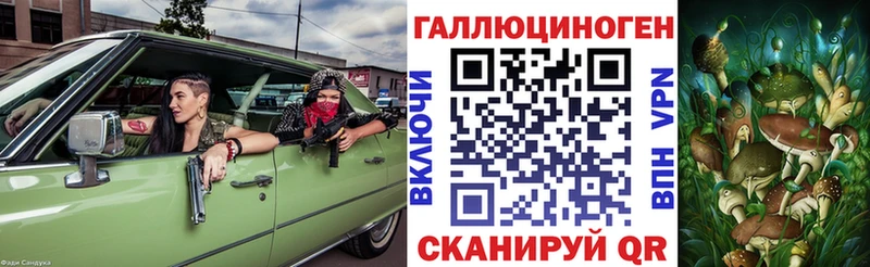 цены   Теберда  Галлюциногенные грибы Psilocybine cubensis 